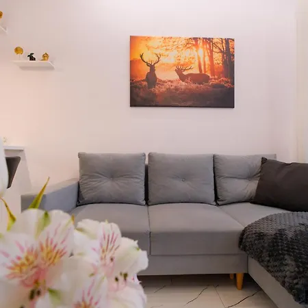 Apartman Laguna Beskidow Resort - Apartament Perlowy Wellness Bierna