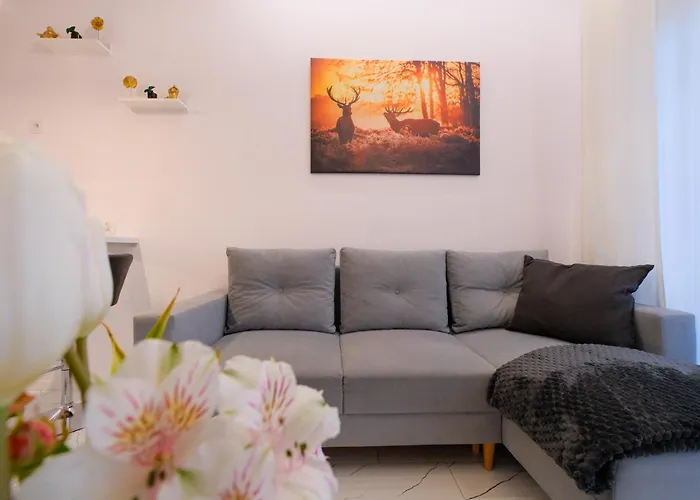 Apartmán Laguna Beskidow - Perlowy Wellness Bierna